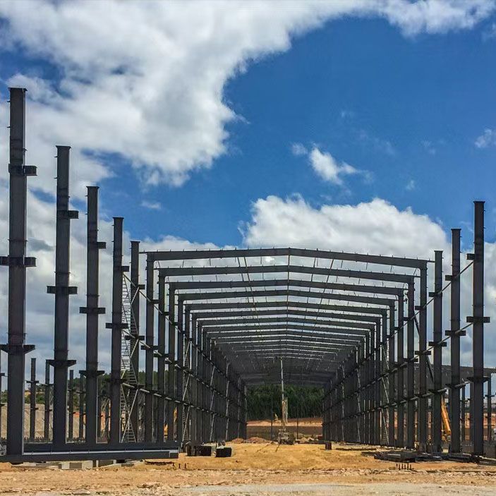 Why Choose a Multi-Storey Steel Structure Factory Building for Modern Industrial Needs?