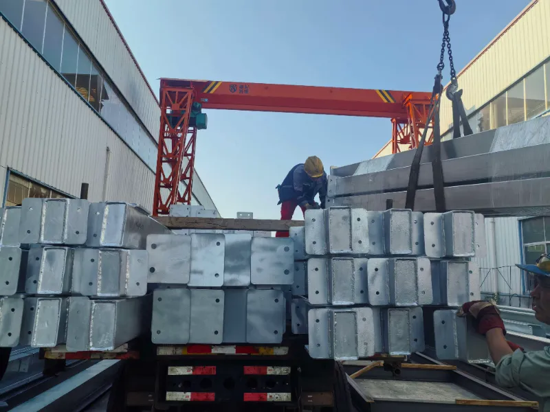 Showcase of Daily Shipments