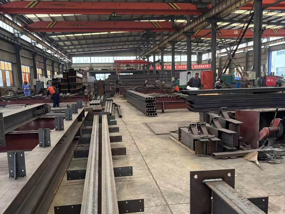 Hurricane Resistant Steel House